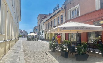 OŚWIĘCIM CENTRUM | DO WYNAJĘCIA DUŻY LOKAL O POW. 