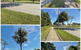 Oświęcim ul. Leszczyńska działka komercyjna na spr