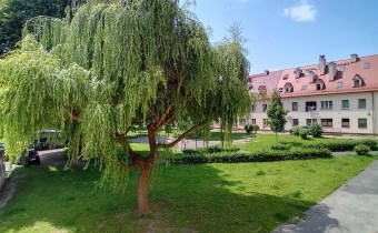 widok z okien