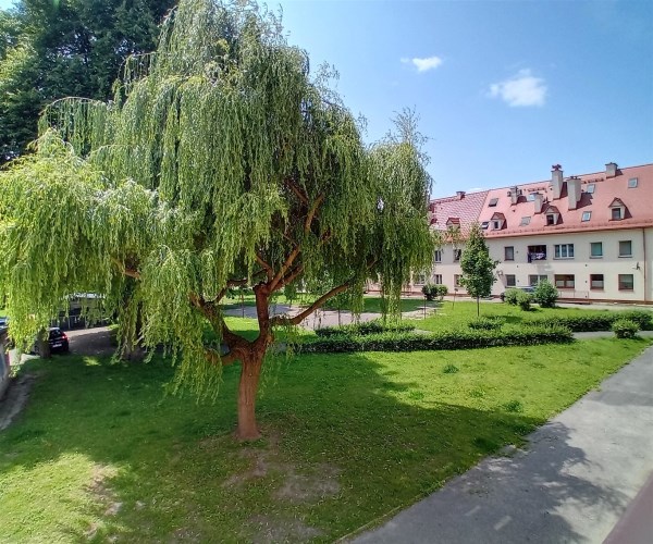 widok z okien widok z okien